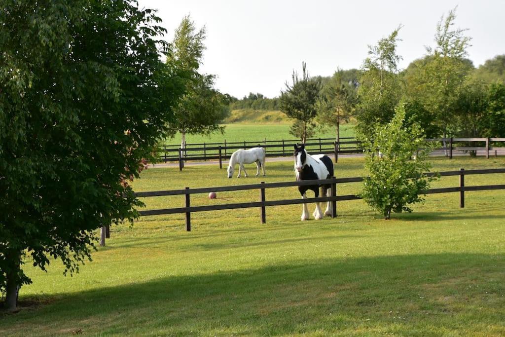 The Barn At Whitehouse Farm 18th Century 3 Bed Barn- Beautifully Converted * Frithville